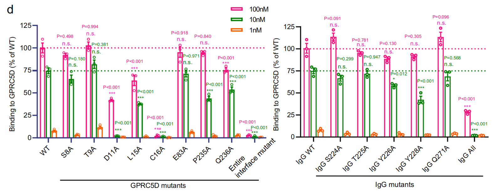 The binding mechanism of an anti multiple myeloma antibody to the human GPRC5D homodimer
